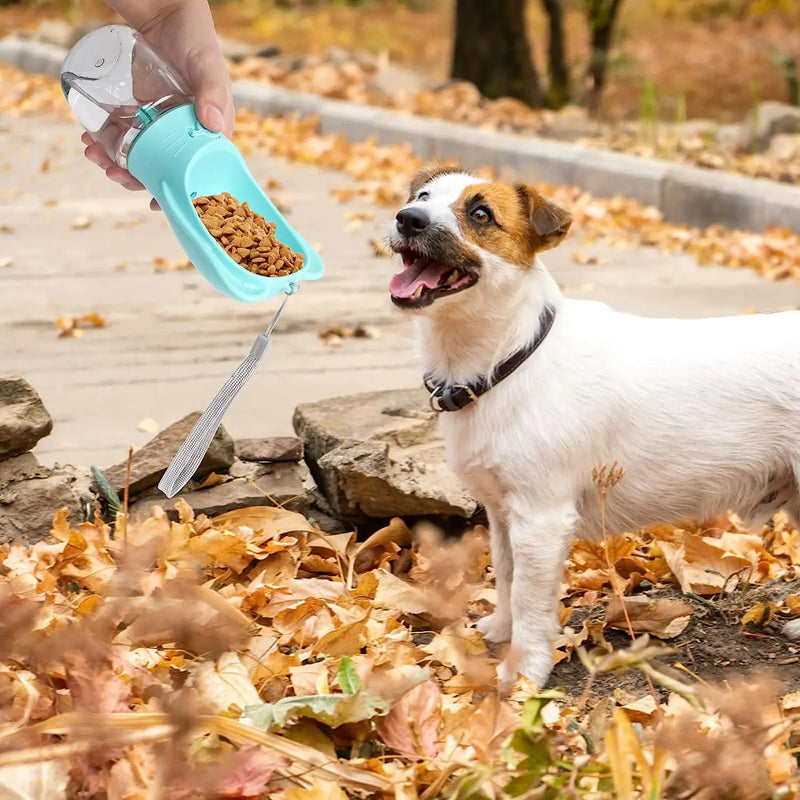 Garrafa de água e alimentador para animais de estimação