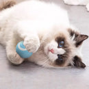 Bola de brinquedo inteligente para gatos recarregável.