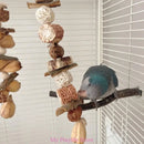 Brinquedo de roer para pássaros