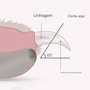 Cortador de unhas profissional para animais de estimação com luz LED e dispenser de descarte