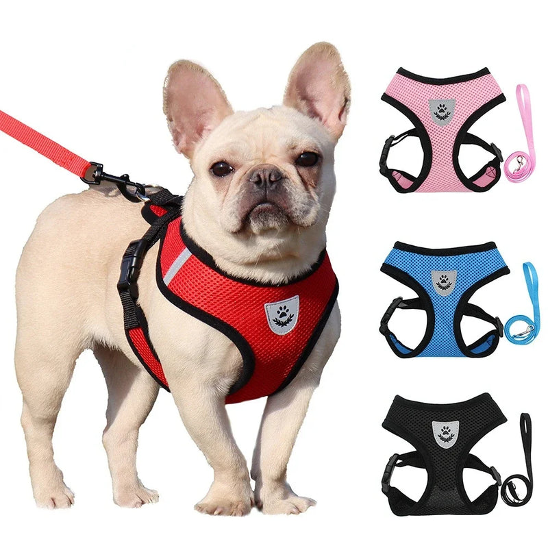 Coleira ajustável para cães