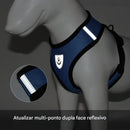 Coleira ajustável para cães