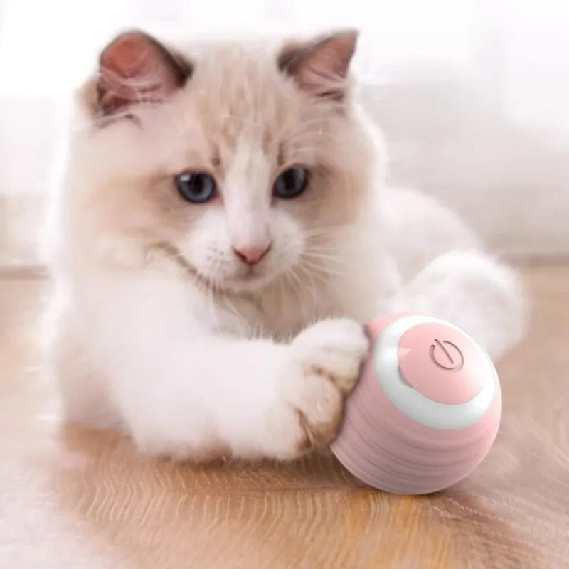 Bola de brinquedo inteligente para gatos recarregável.