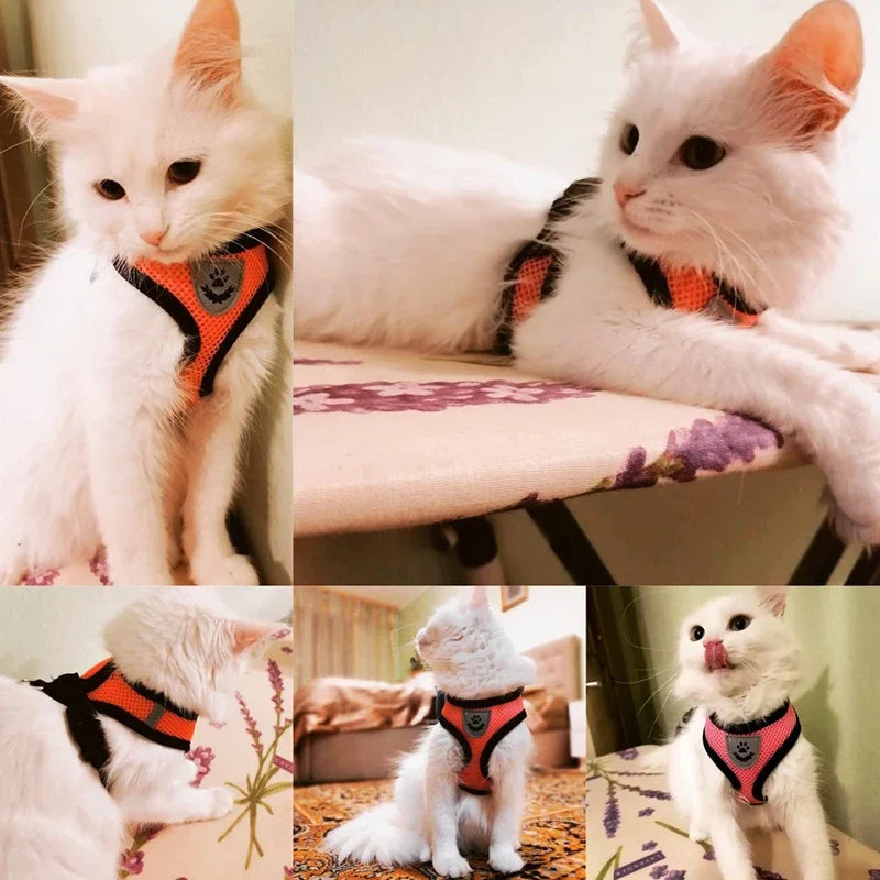 Coleira ajustável para cães